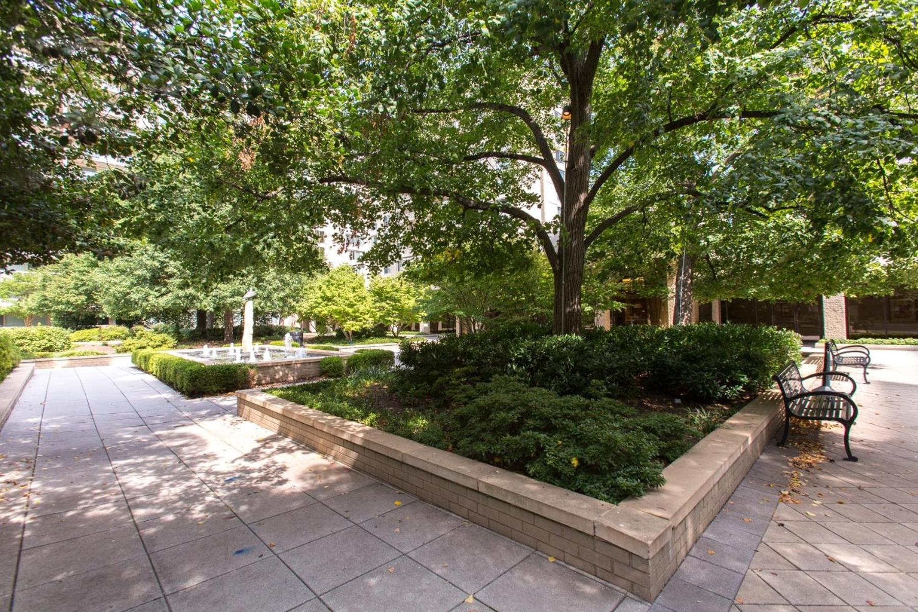 Spacious 2 Bedrooms Apt @Crystal City With Gym Arlington Bagian luar foto